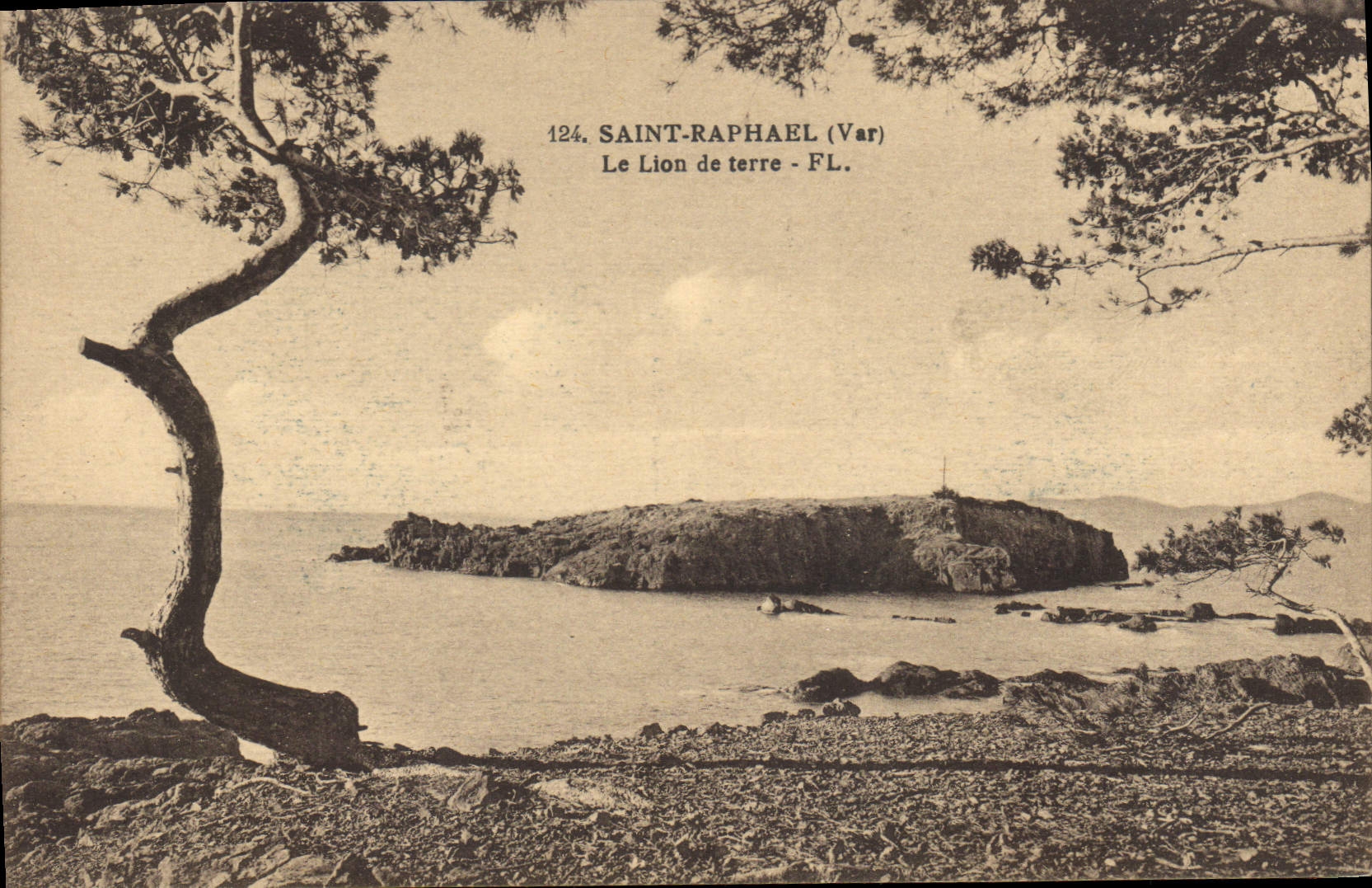 CPA Saint Raphael Var Le Lion de terre