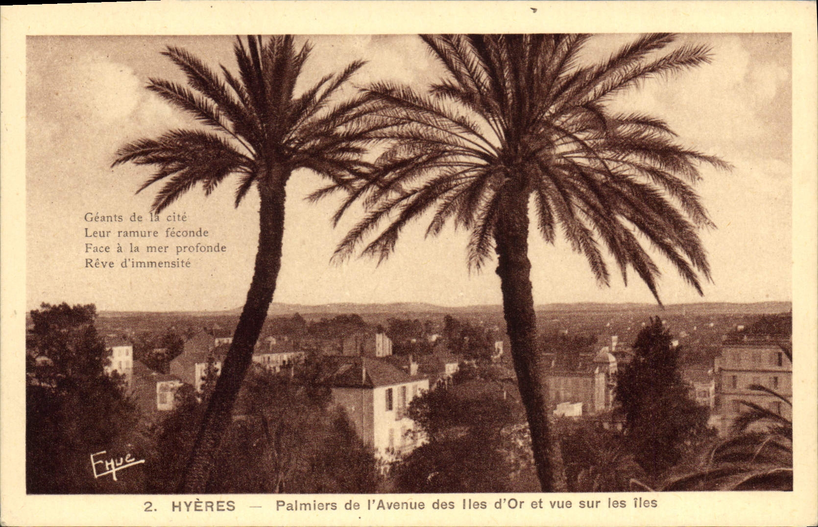 CPA Hyeres Palmiers de l'Avenue des Iles d'Or et vue sur les iles 