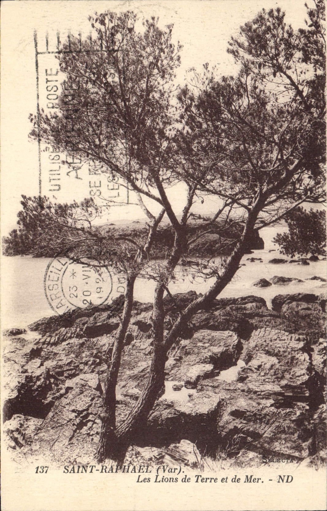 CPA Saint Raphael Var Les Lions de Terre et de Mer