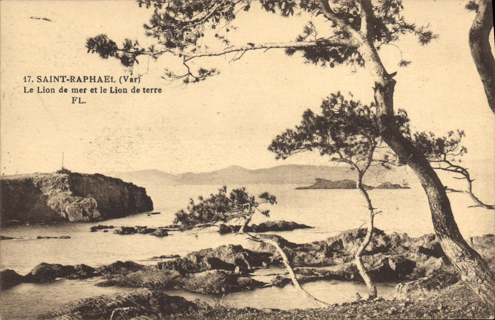 CPA Saint Raphael Var Le Lion de mer et le Lion de terre 