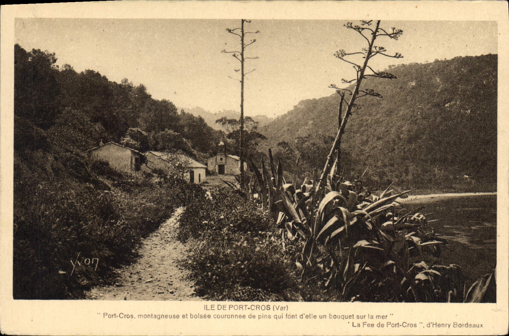 CPA Ile de Port Cros Var La Fes de Port Cros d'Henry Bordeaux