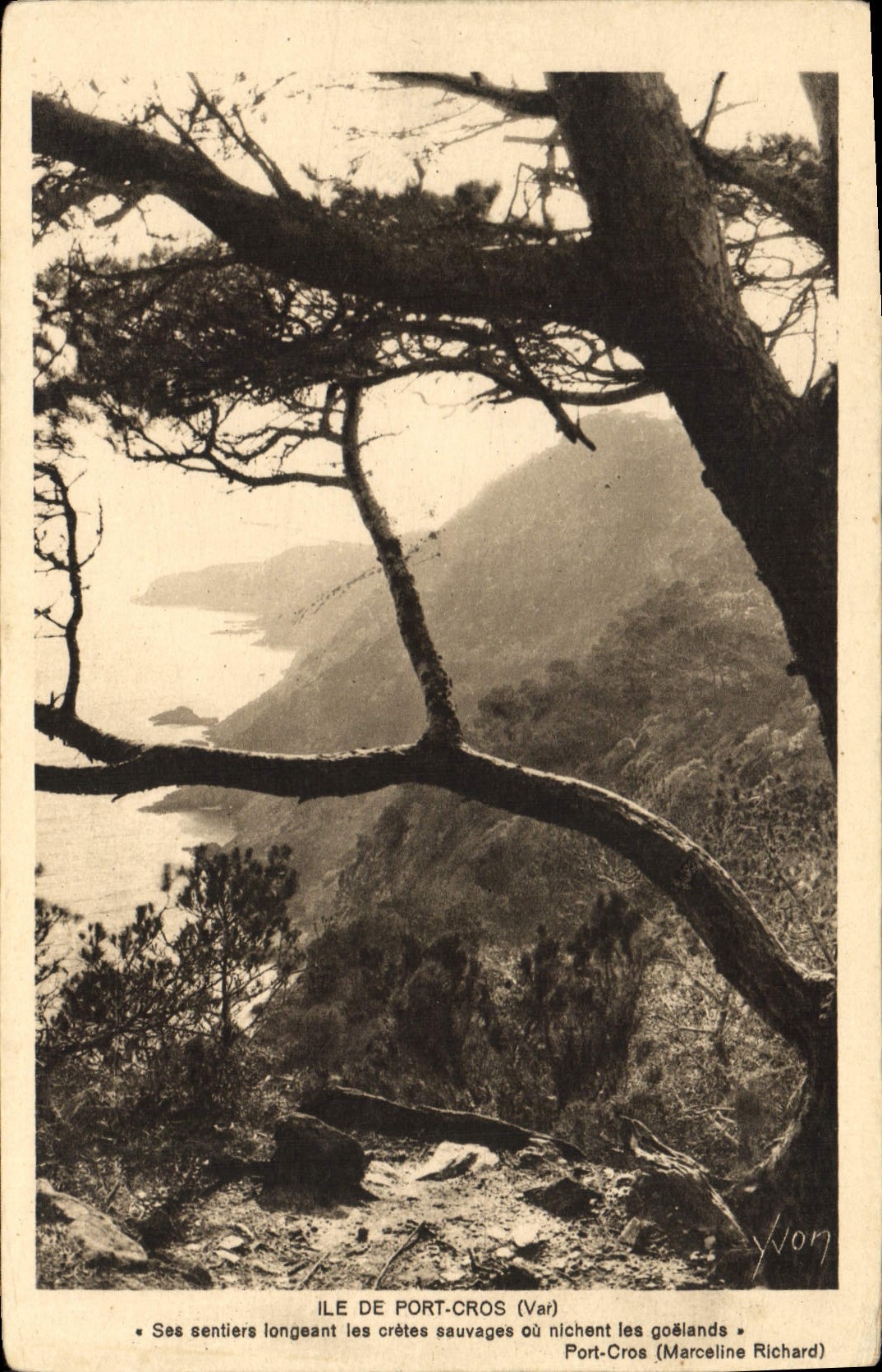 CPA Ile de Port Cros Var Ses sentiers longeant les cretes nauvages ou nichent les goelands Port Cros