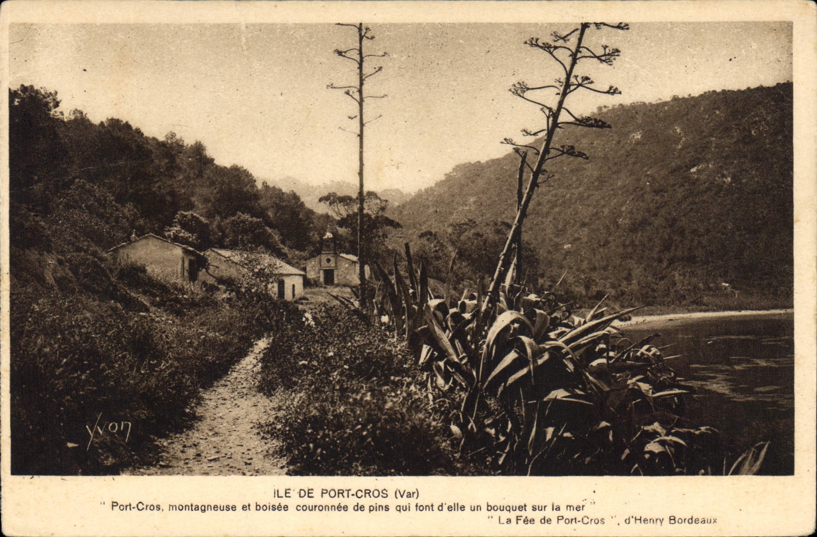 CPA Ile de Port Cros Var La Fee de Port Cros 