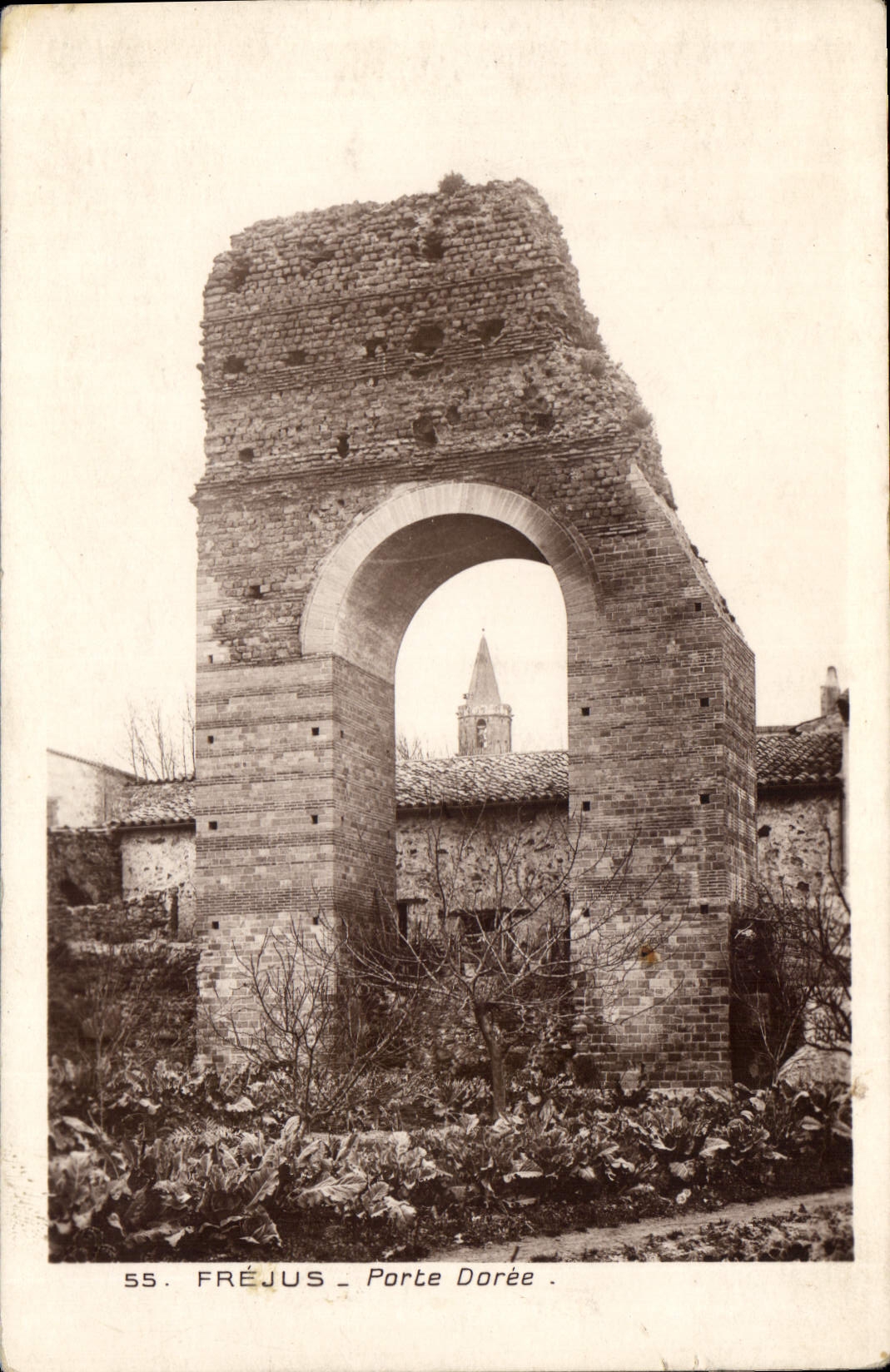 CPA Frejus Porte Doree 