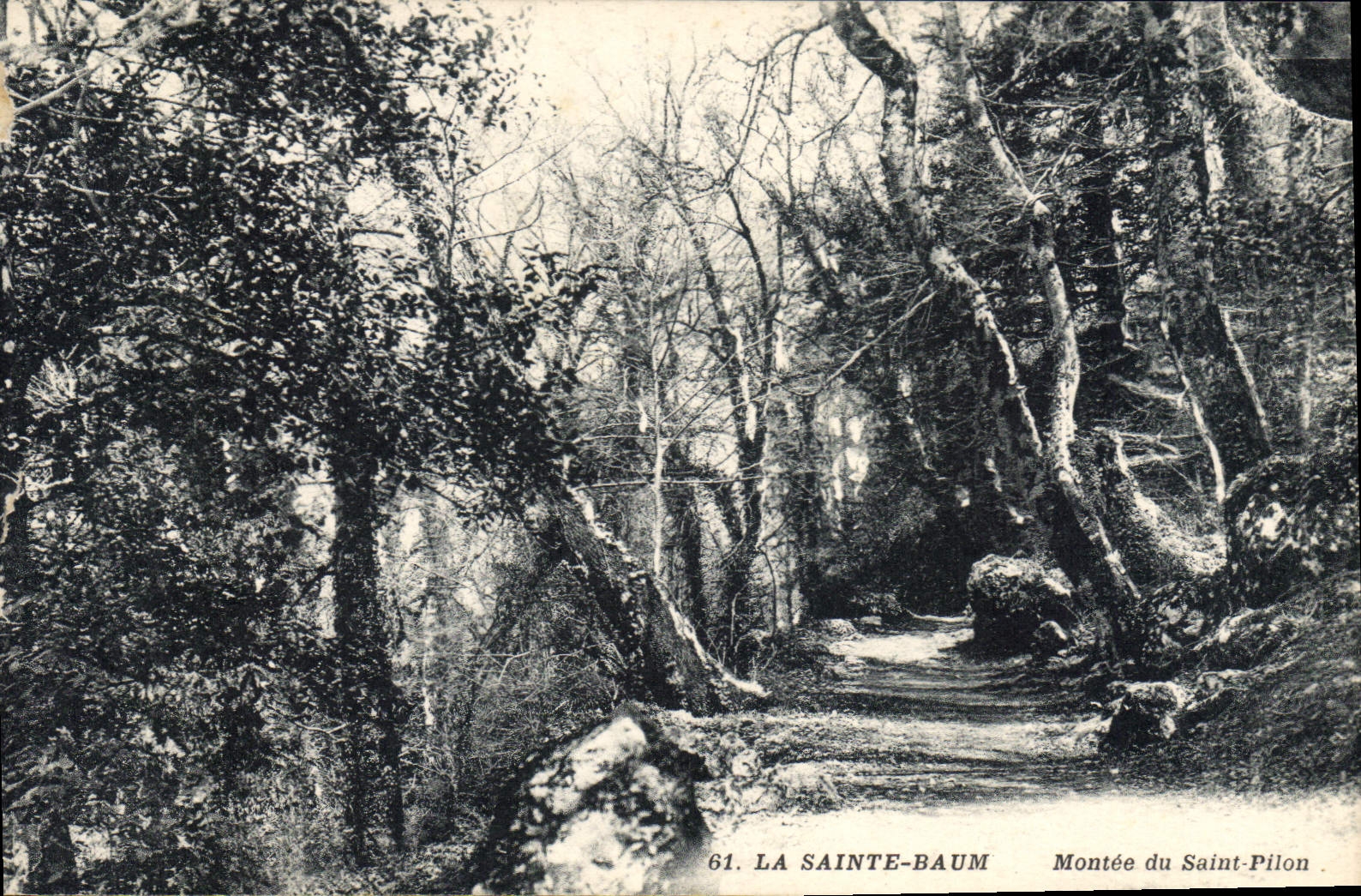 CPA La Sainte Baume Montee du Saint Pilon 