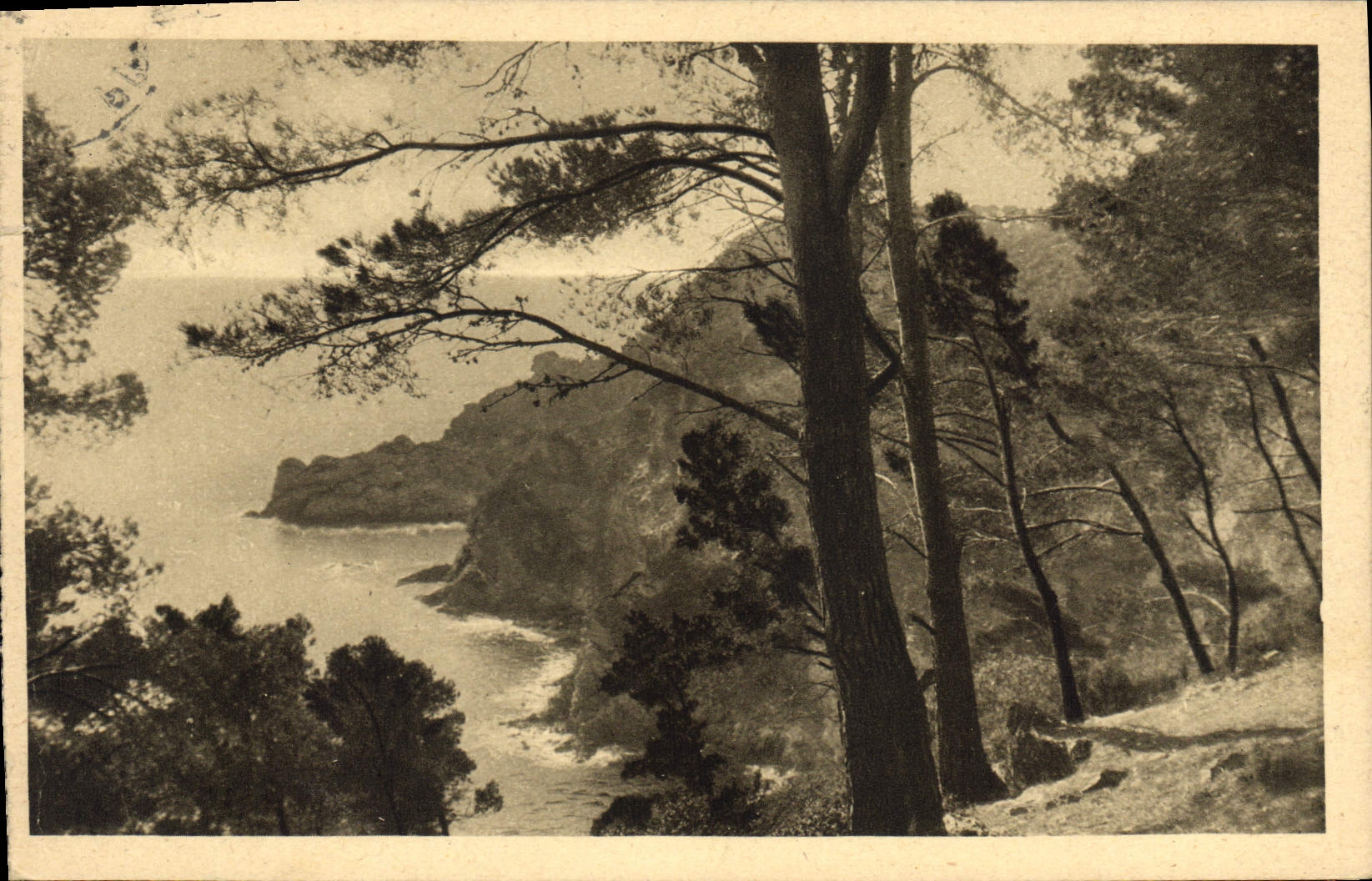 CPA Ile de Porquerolles Une vue sur la Grande Gale