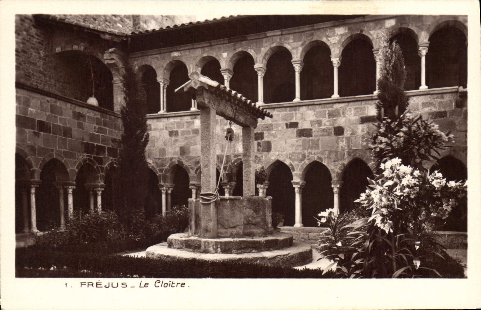 CPA Frejus Le Cloitre 