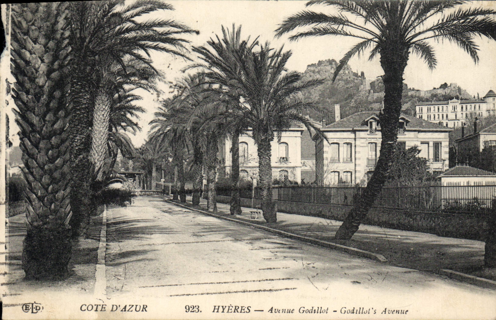 CPA Cote d'Azur Hyeres Avenue Godillot 