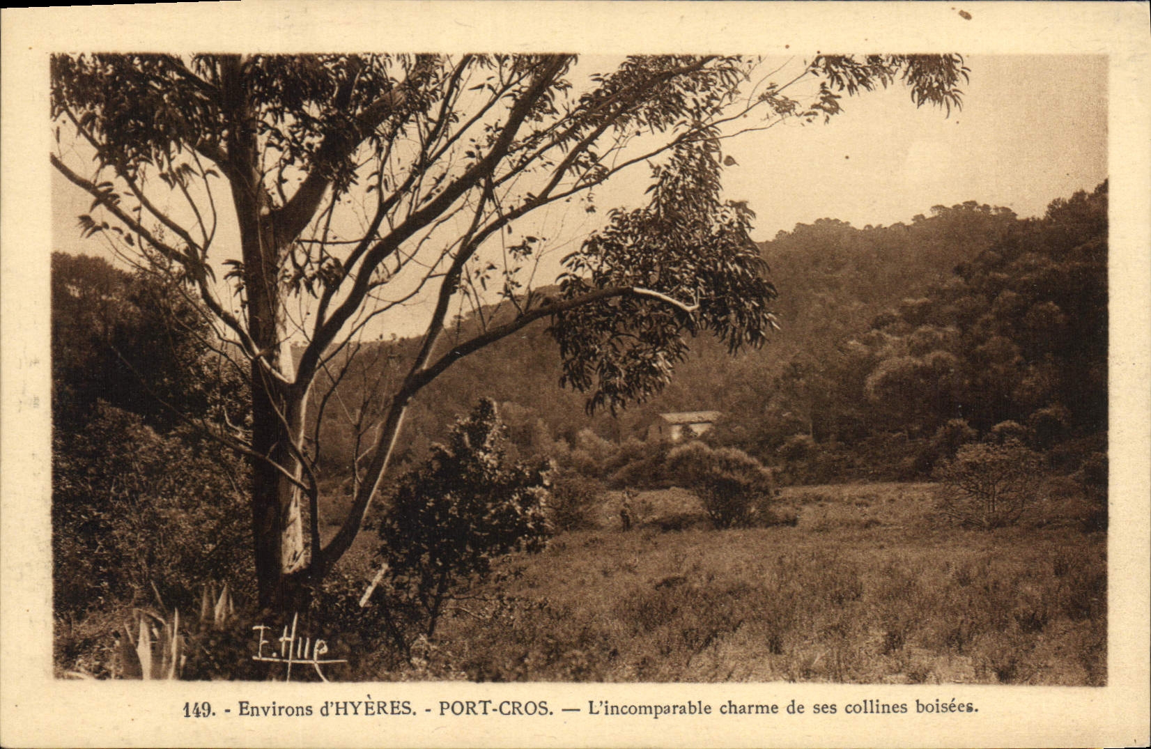 CPA Envrions d'Hyeres Port Cros l'incomparable charme de ses collines boisees 