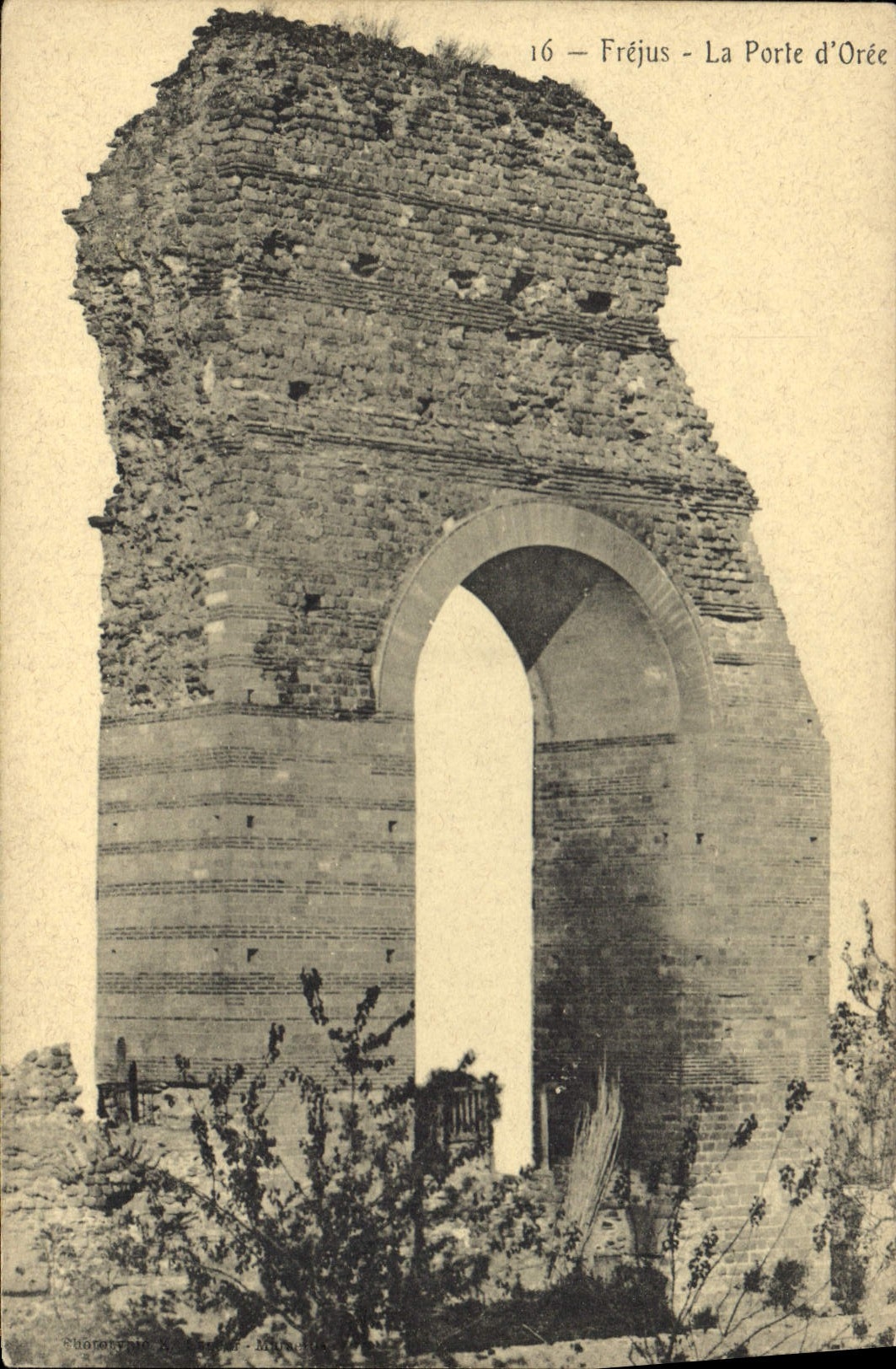 CPA Frejus La Porte d'Oree 