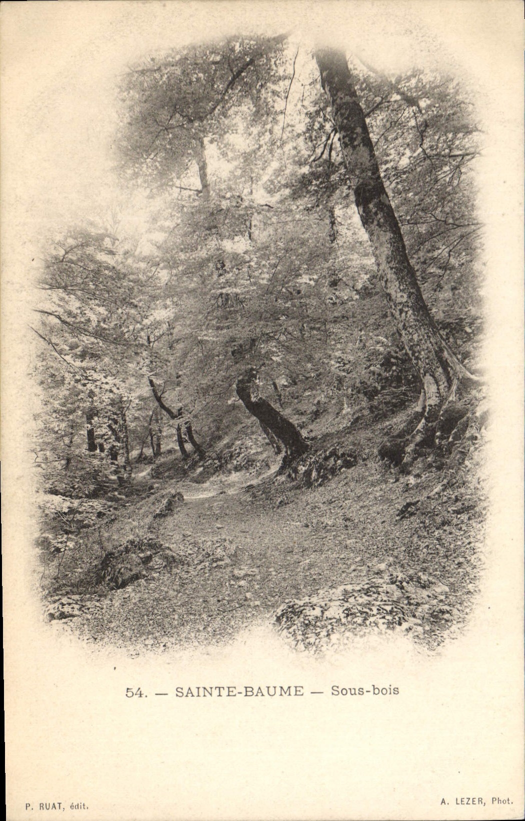 CPA Sainte Baume Sous bois 