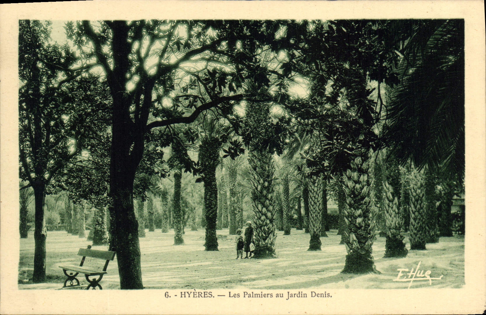 CPA Hyeres Les Palmiers au Jardin Denis 