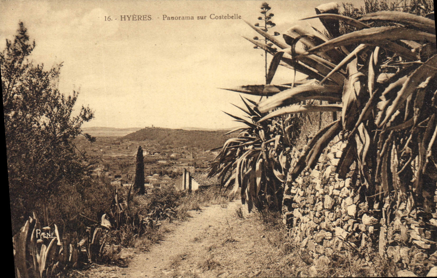 CPA Hyeres Panorama sur Costebelle 