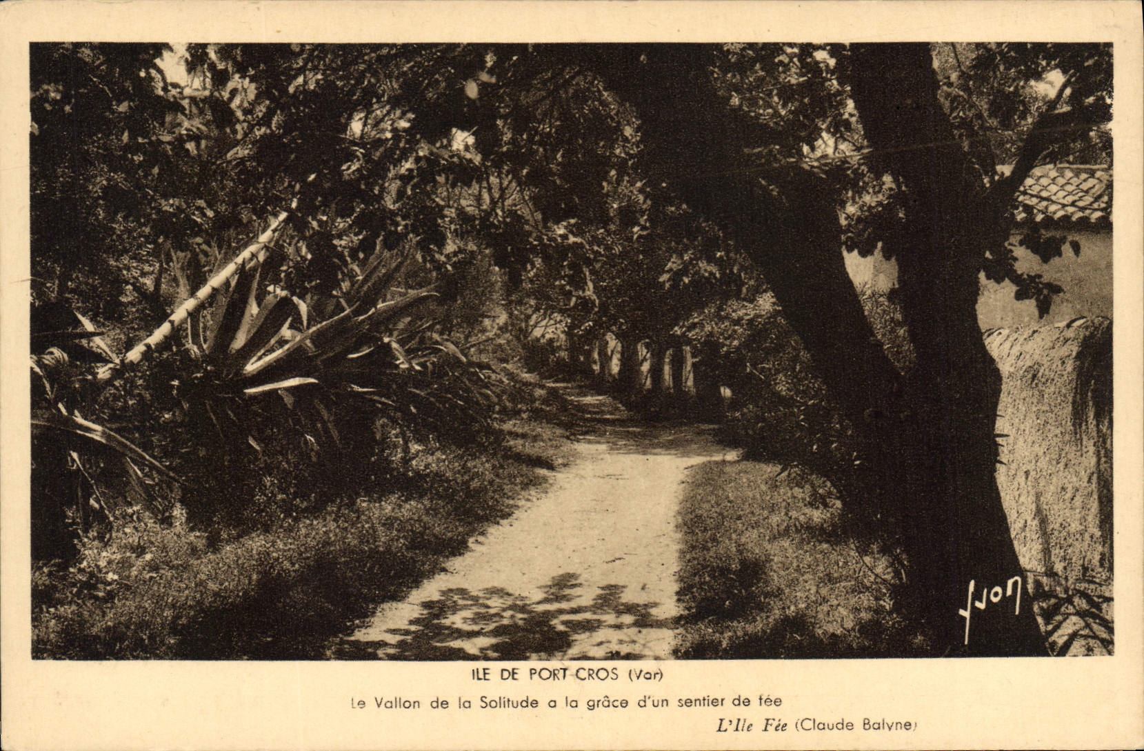 CPA Ile de port Cros Var Le Vallon de la Salitude a la grace d'un sentier de fee l'Ile Fee Claude Ba