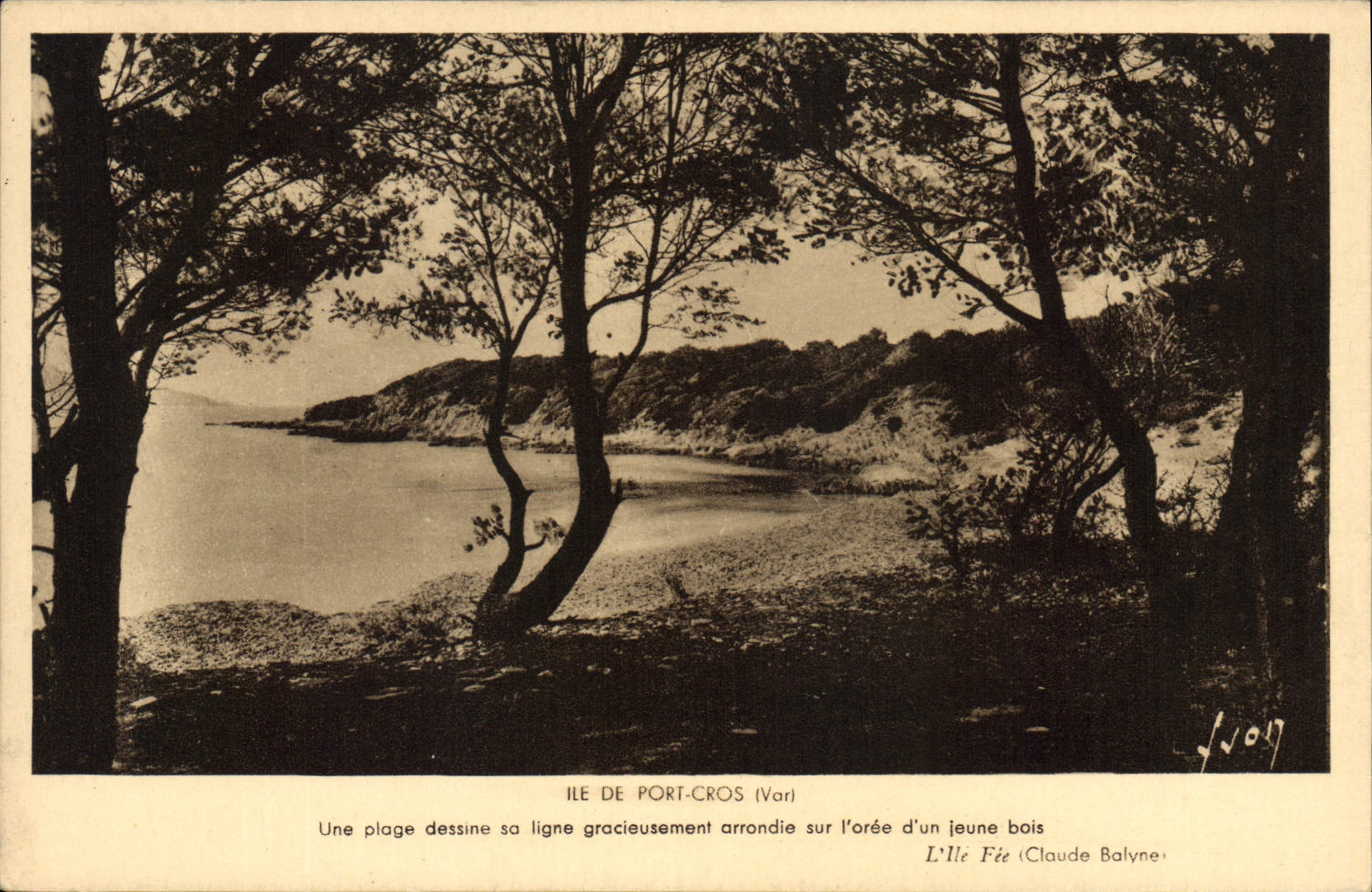 CPA Ile de Port Cros Var Une plage dessiner sa ligne gracieusement arrondie sur l'oree d'un jeune bo