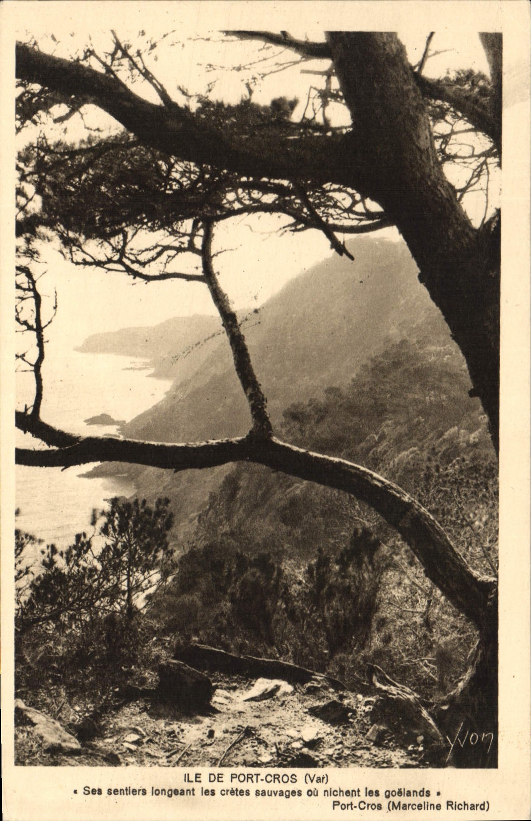 CPA Ile de Port Cros Var Marceline Richard