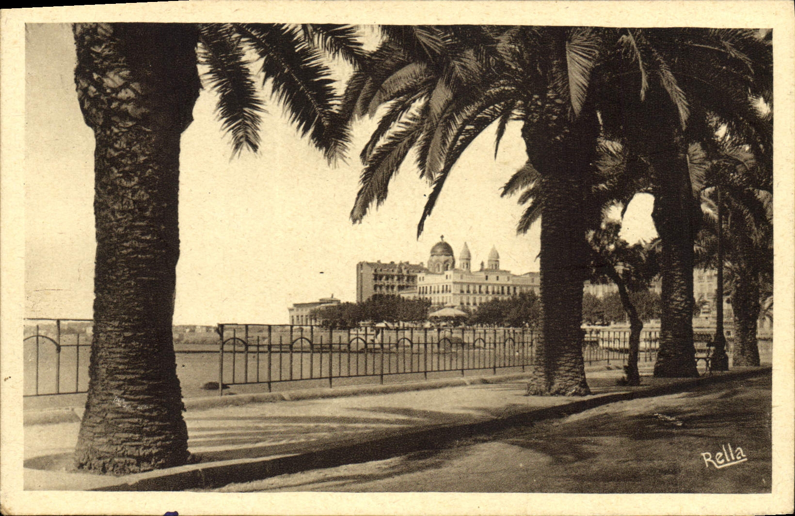 CPA Saint Raphael Les plamiers du boulevard Felix Martin