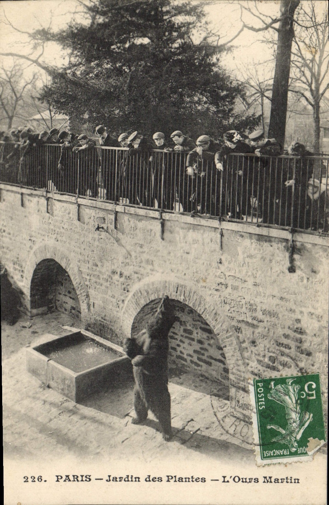 CPA Paris Jardin des Plantes L'Ours Martin