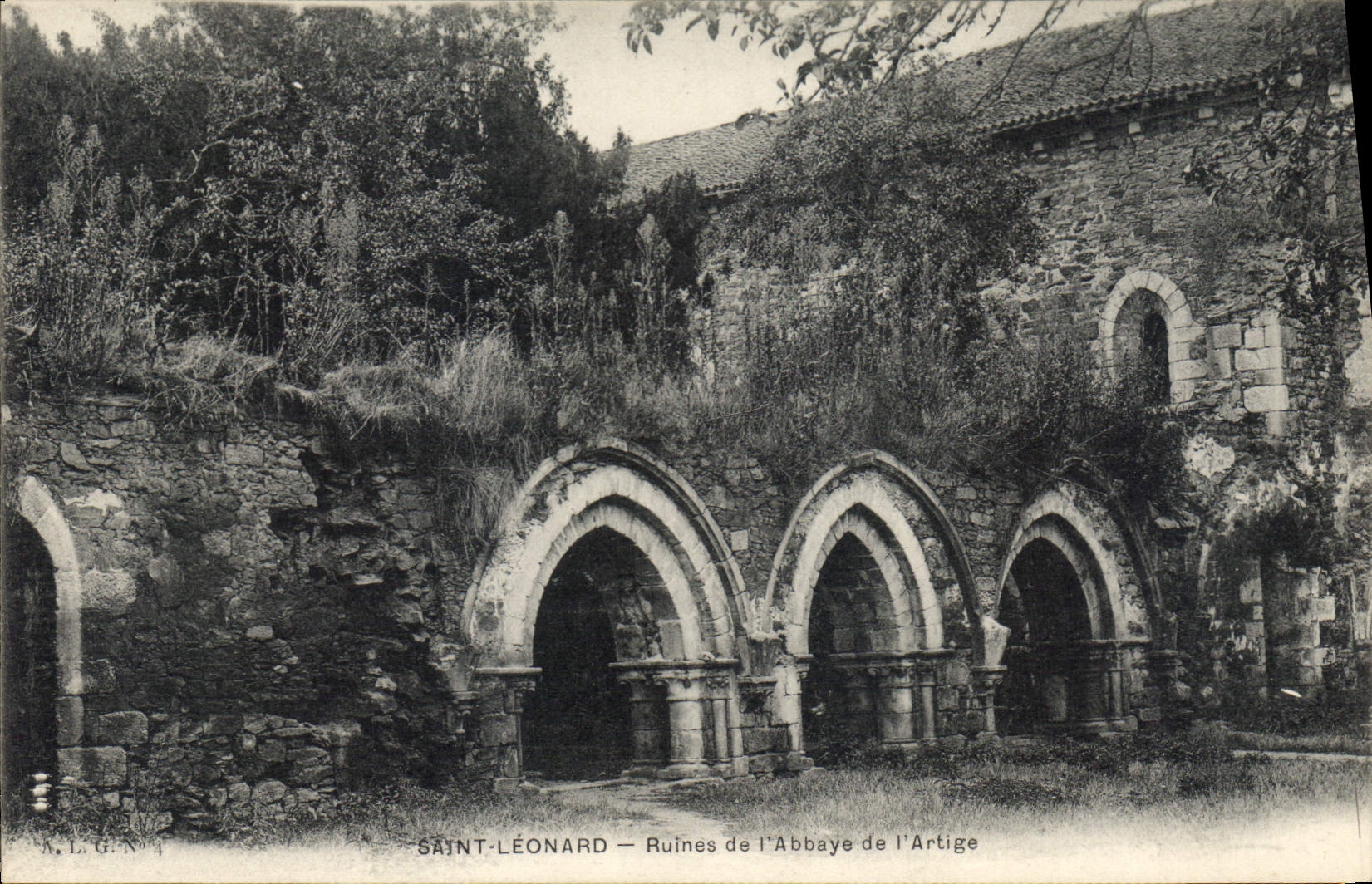 CPA Saint Leonard Ruines de l'Abbaye de l'Artige 