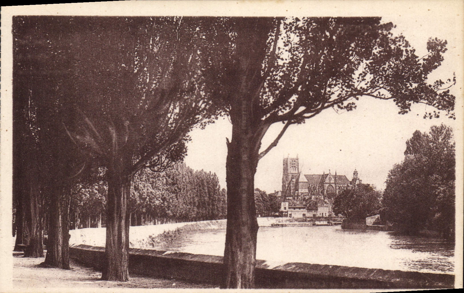 CPA Meaux Promenade des Trinitaires Vue sur la Marne et la Cathedrale 