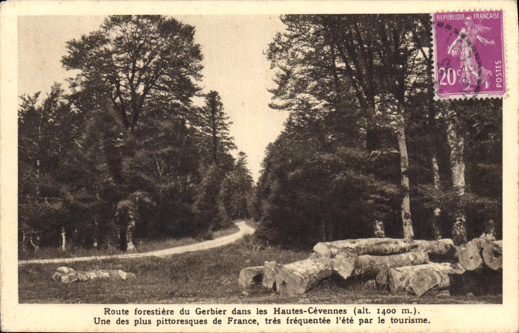 CPA Route forestiere du Gerbier dans les Hautes Cevennes 