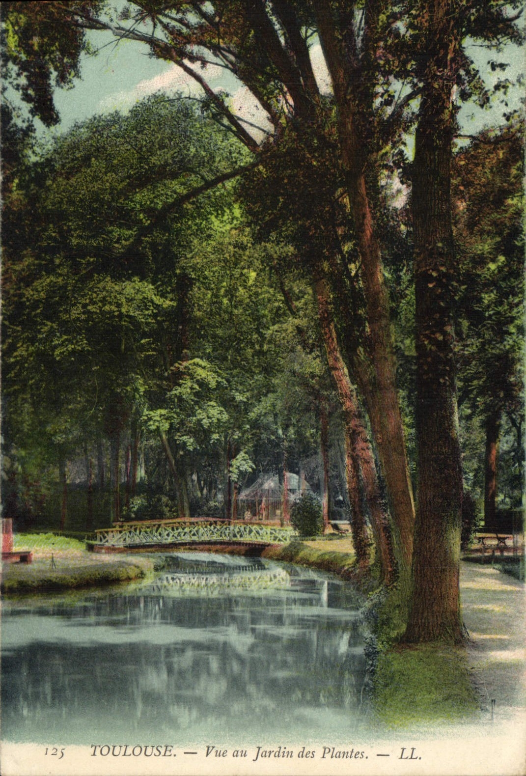 CPA Toulouse Vue au Jardin des Plantes 