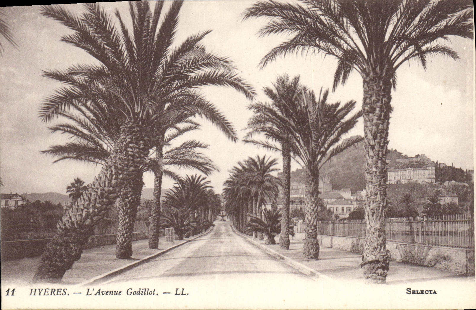 CPA Hyeres L'Avenue Godillot 