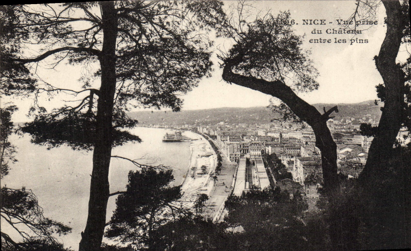 CPA Nice Vue prise du Chateau entre les pins
