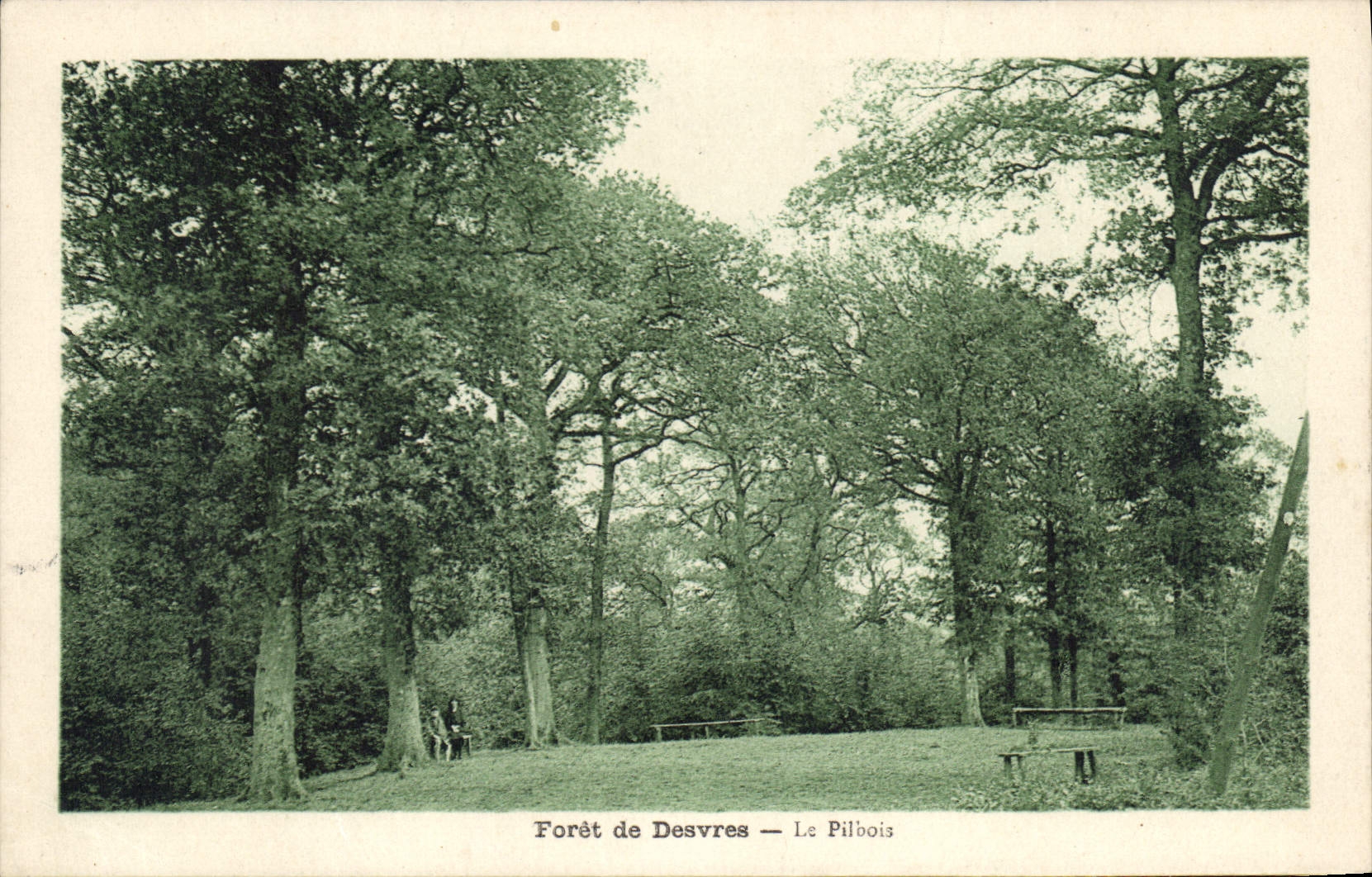 CPA Foret de Desvres Le Pilbois 