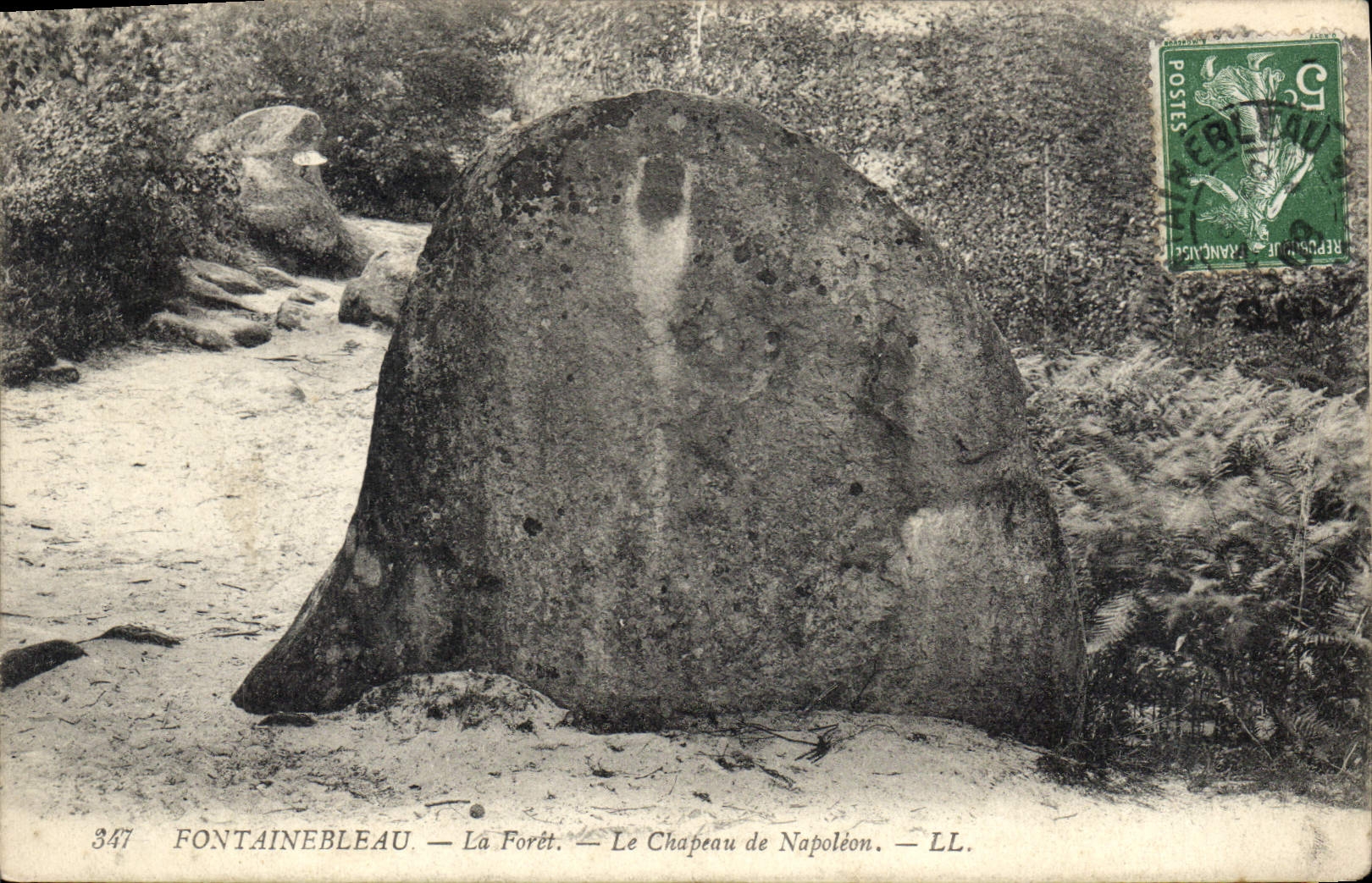 CPA Fontainebleau La Foret Le Chapeau de Napoleon