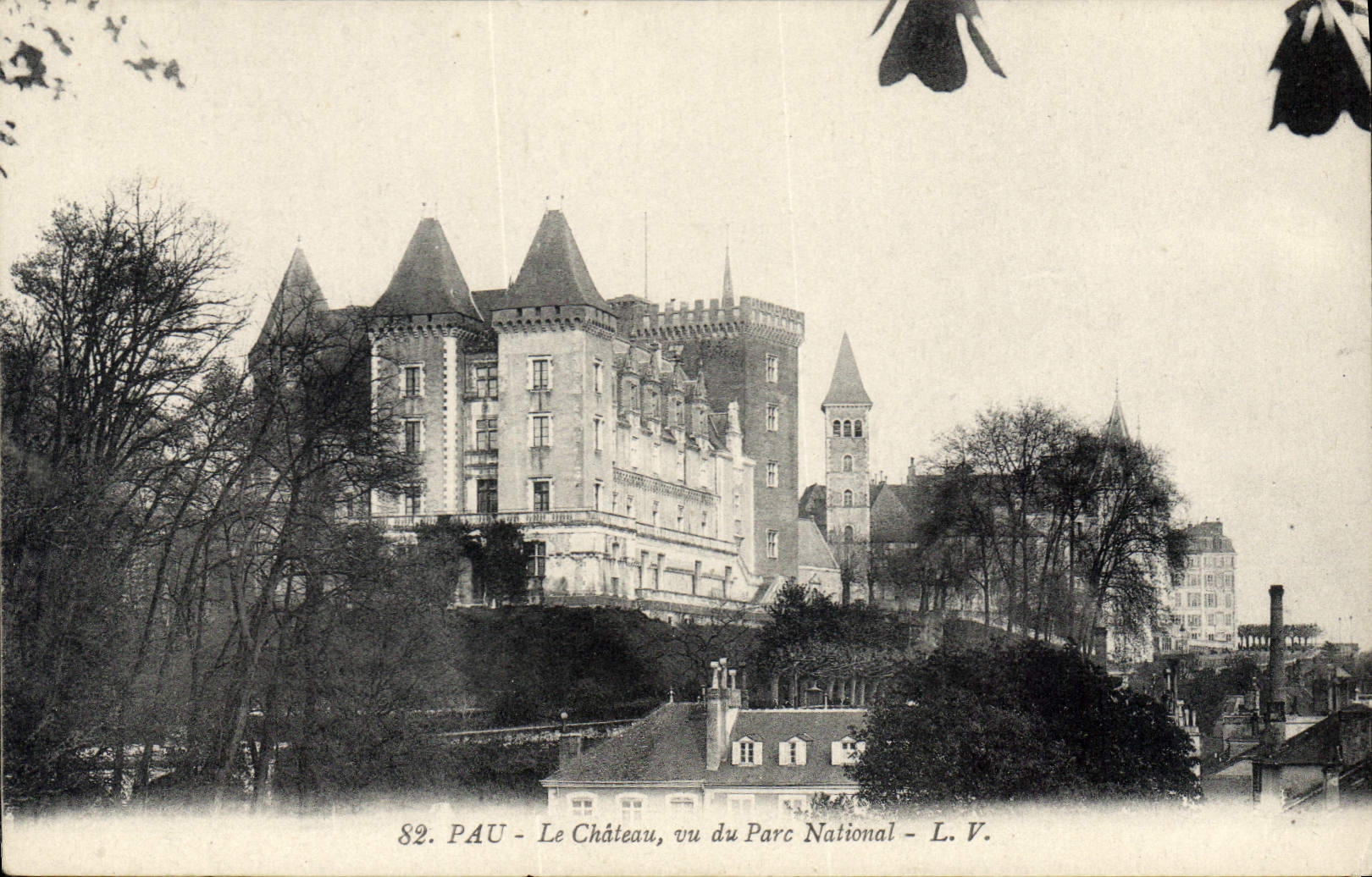 CPA Pau Le Chateau vu du Parc National 