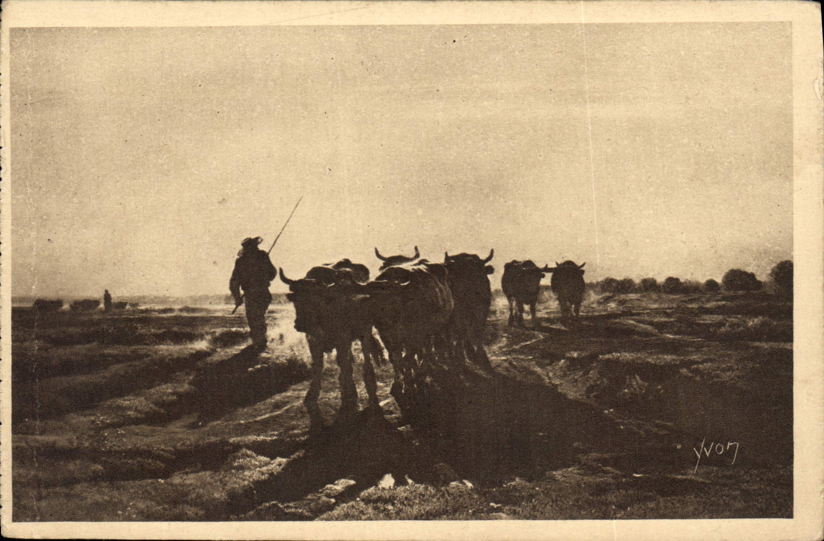 CPA Troyon Boeufs se Rendant au labour 