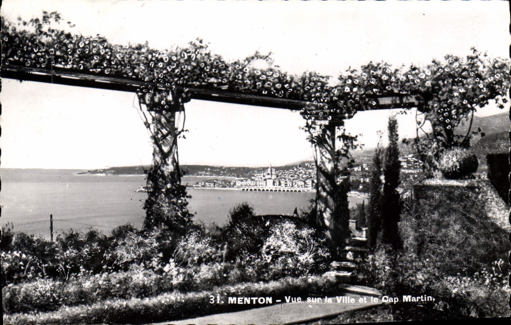 CPA Menton Vue sur la Ville et le Cap Martin 
