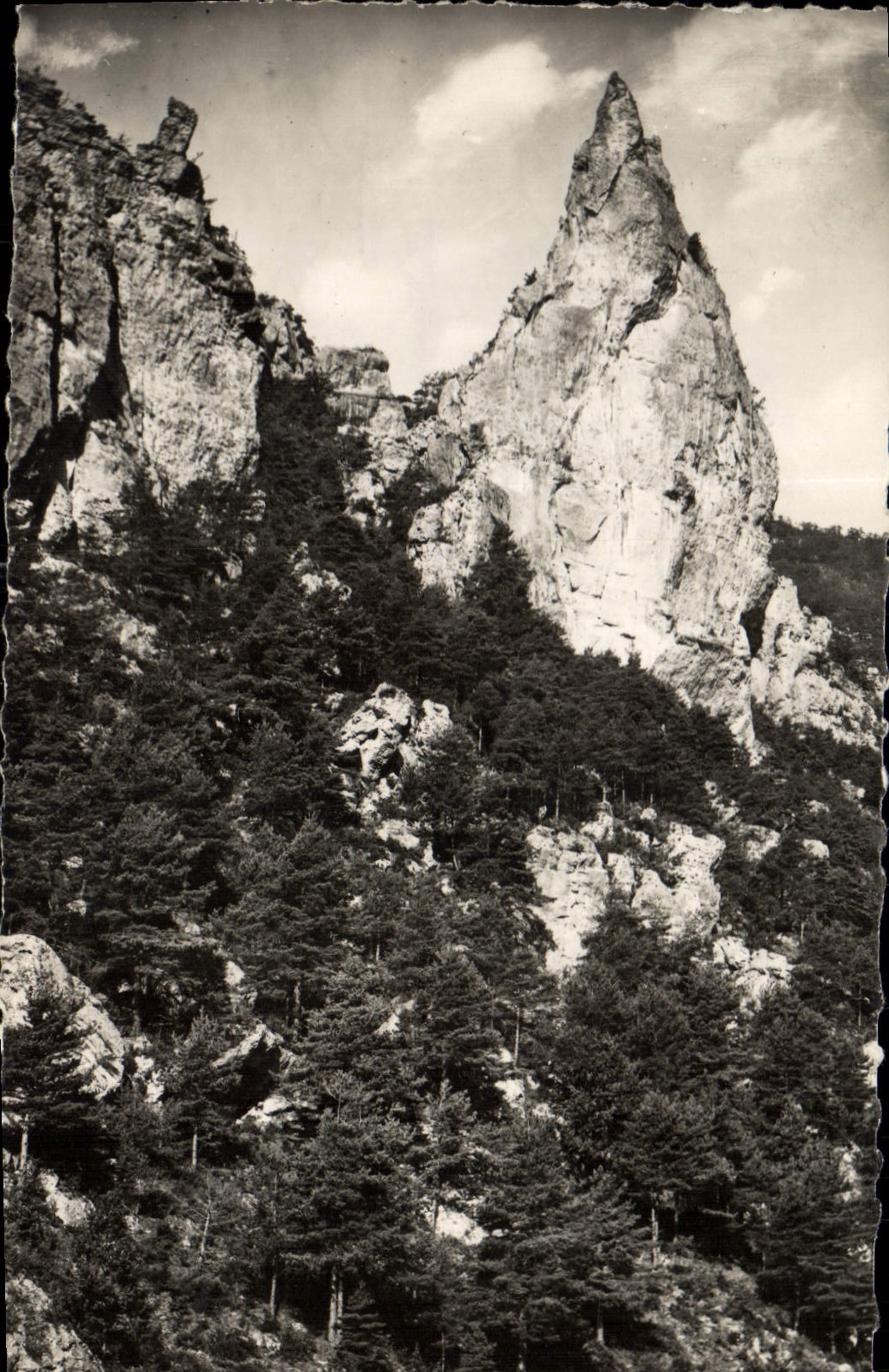 CPA Gorges du Tarn La Roche Aiguille prise du Belvedere