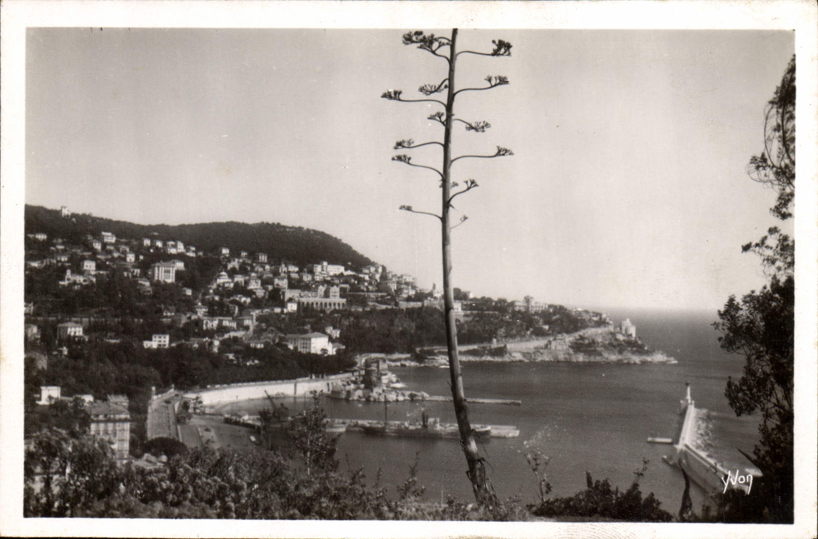 CPA Cote d'Azur Nice L'Entree du Port