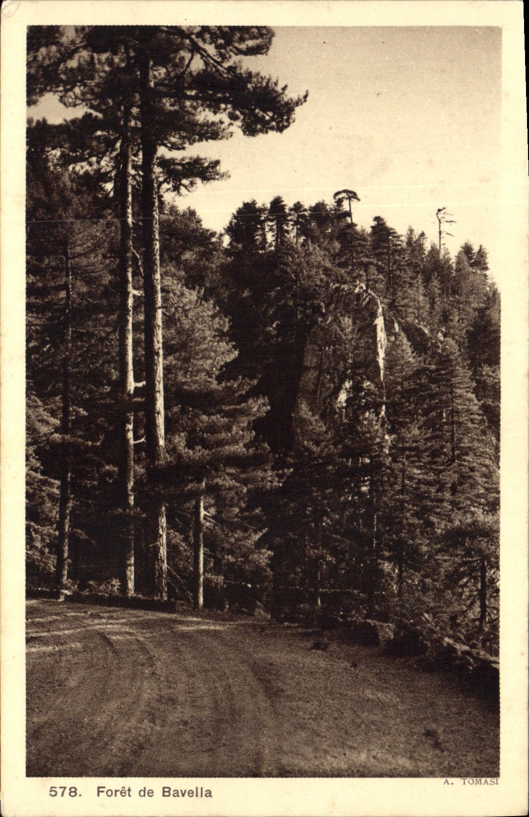 CPA Foret de Bevella 