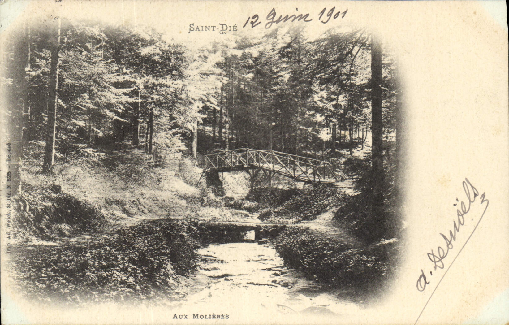 CPA Saint Die Aux Molieres 