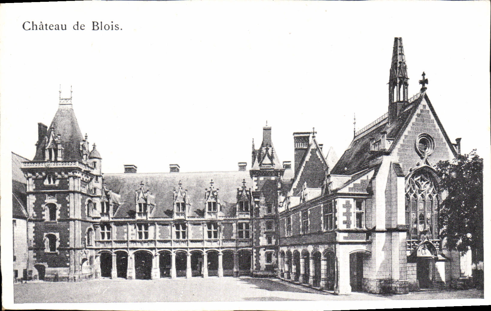 CPA Chateau de Blois 
