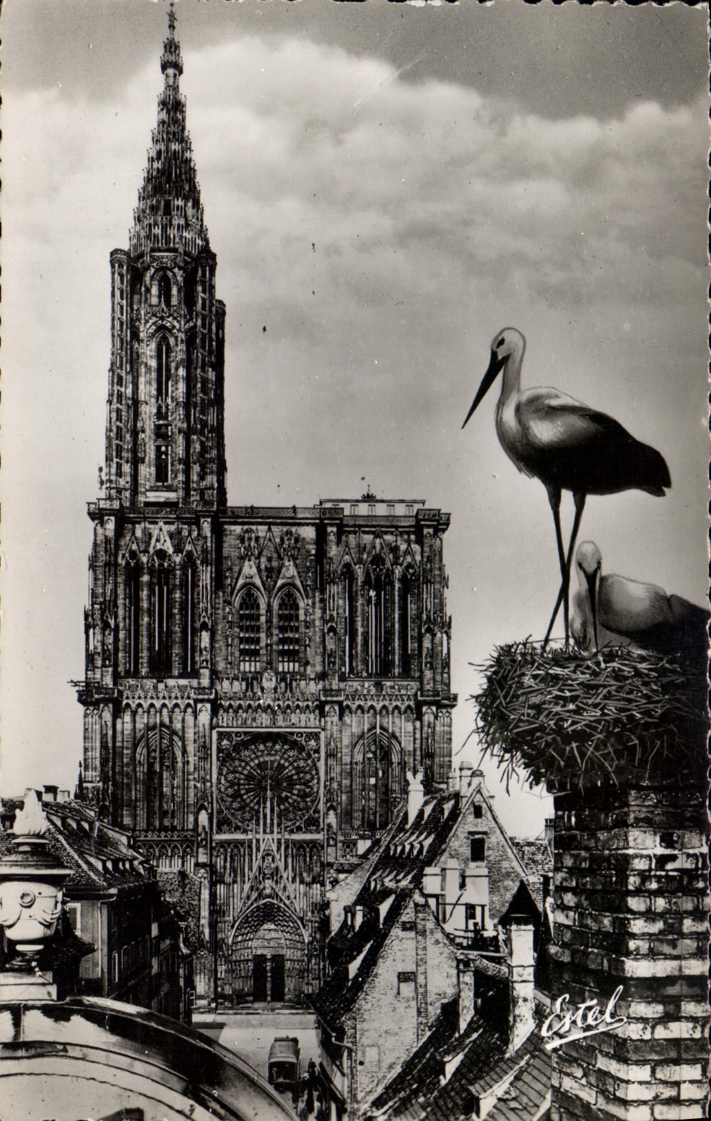 CPA Strasbourg la Cathedrale 