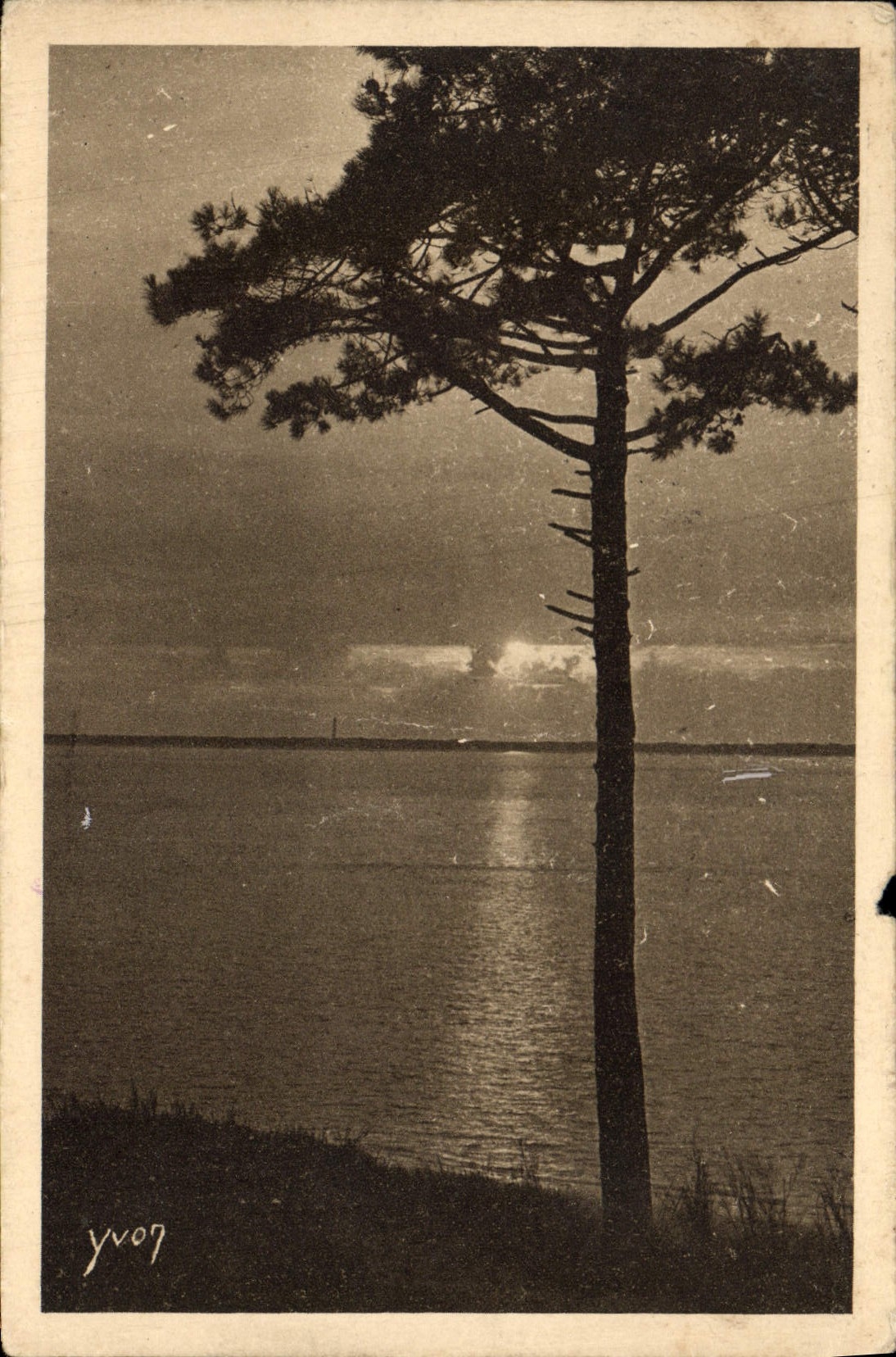 CPA Les Charmes de la Cote d'Argent Mer et foret