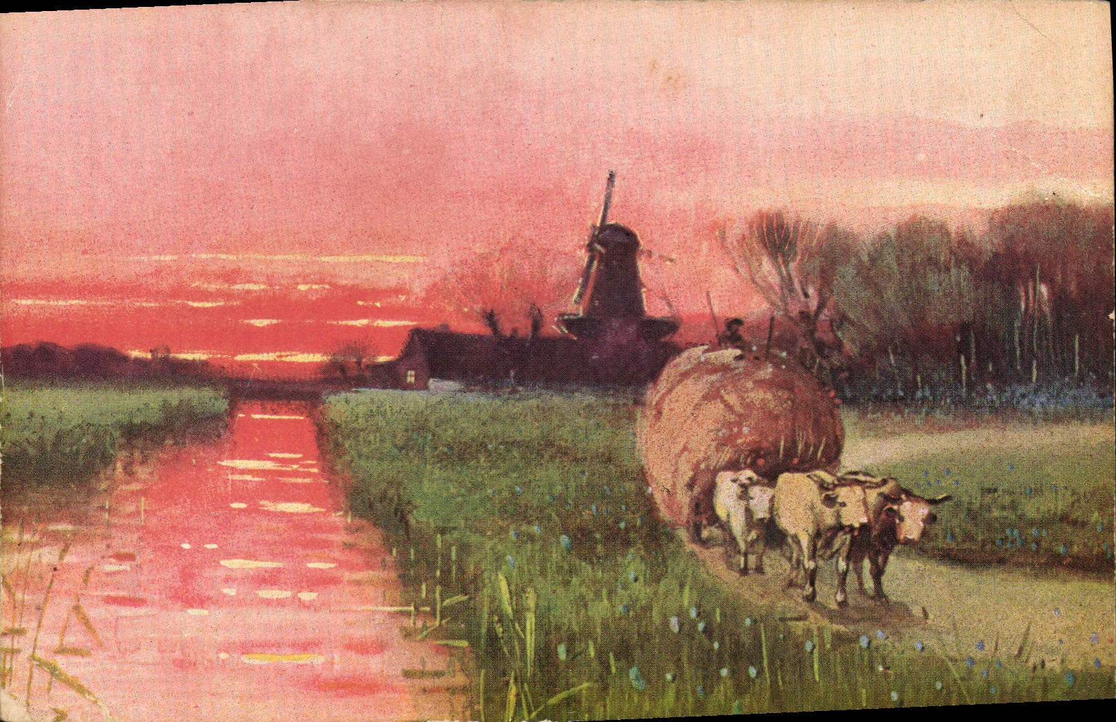 CPA Moulin  a vent Bœufs Attelage