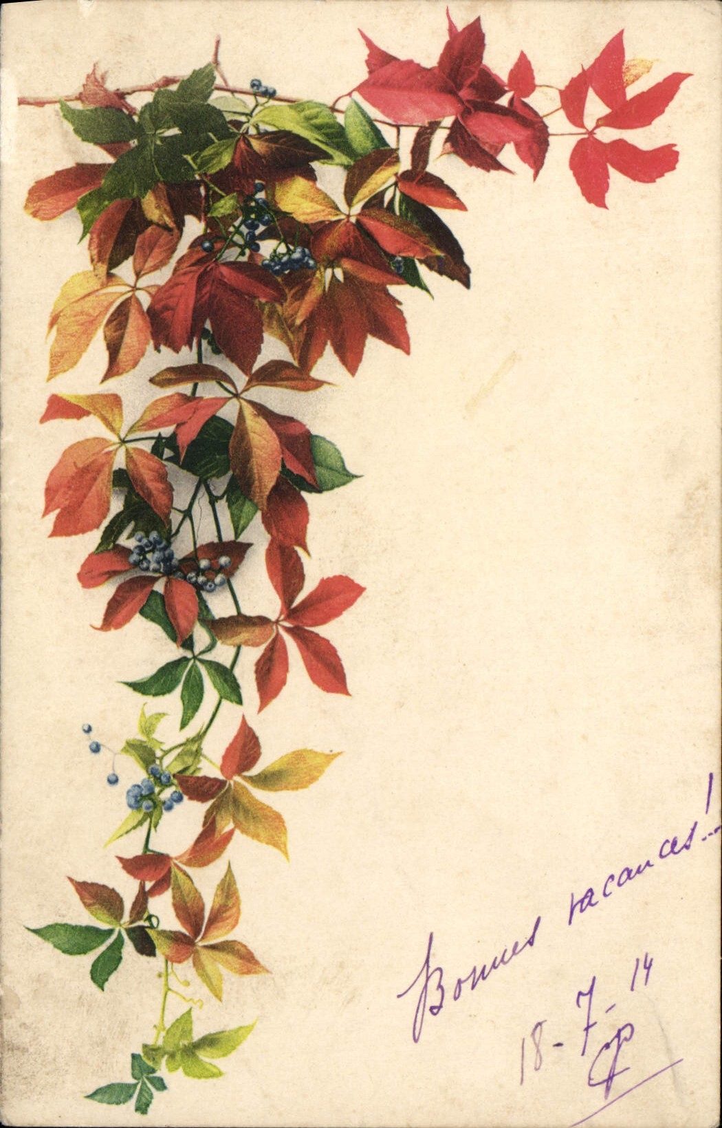 CPA Fantaisie Fleurs