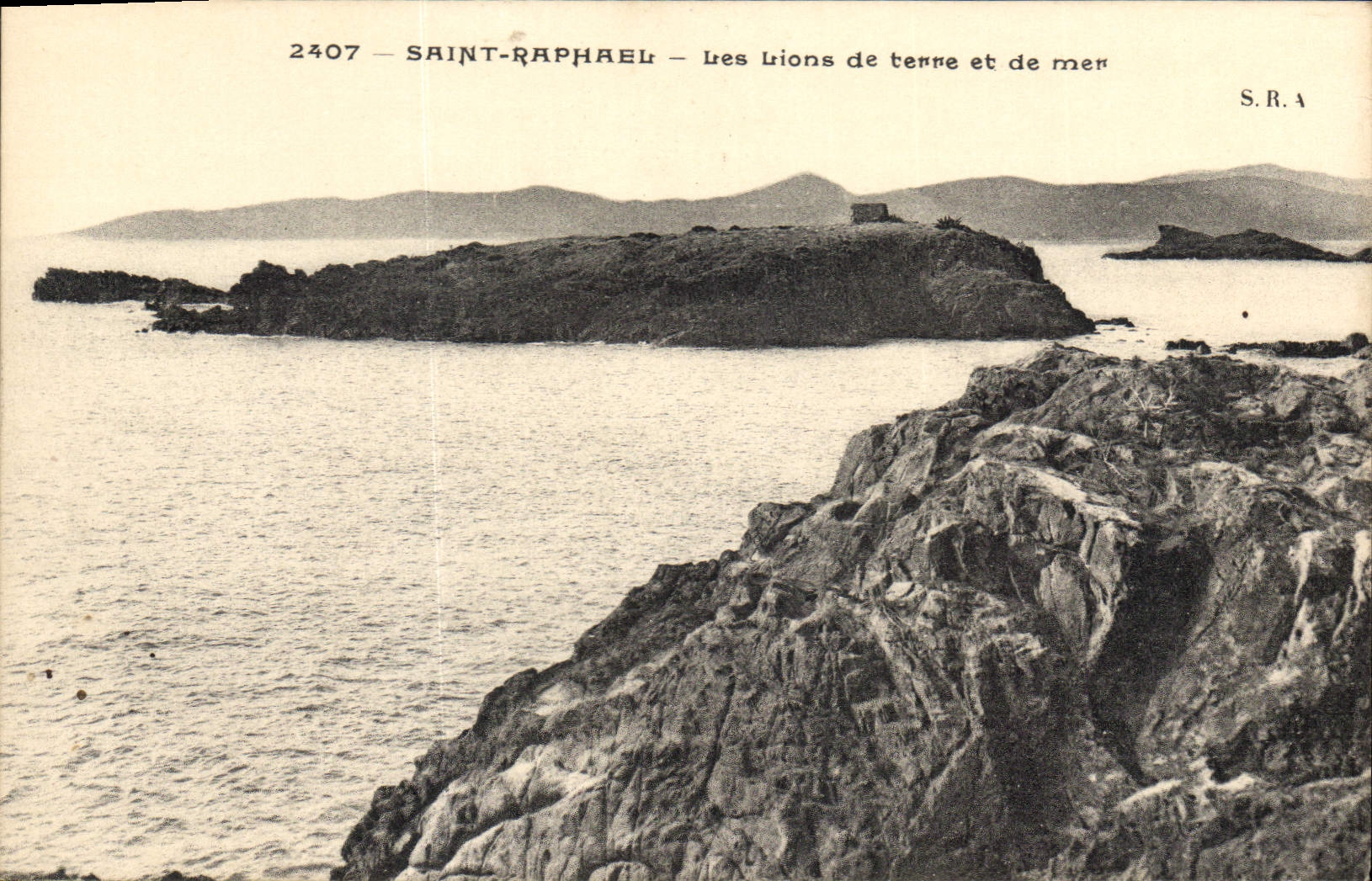CPA Saint Raphael Les Lions de terre et de mer
