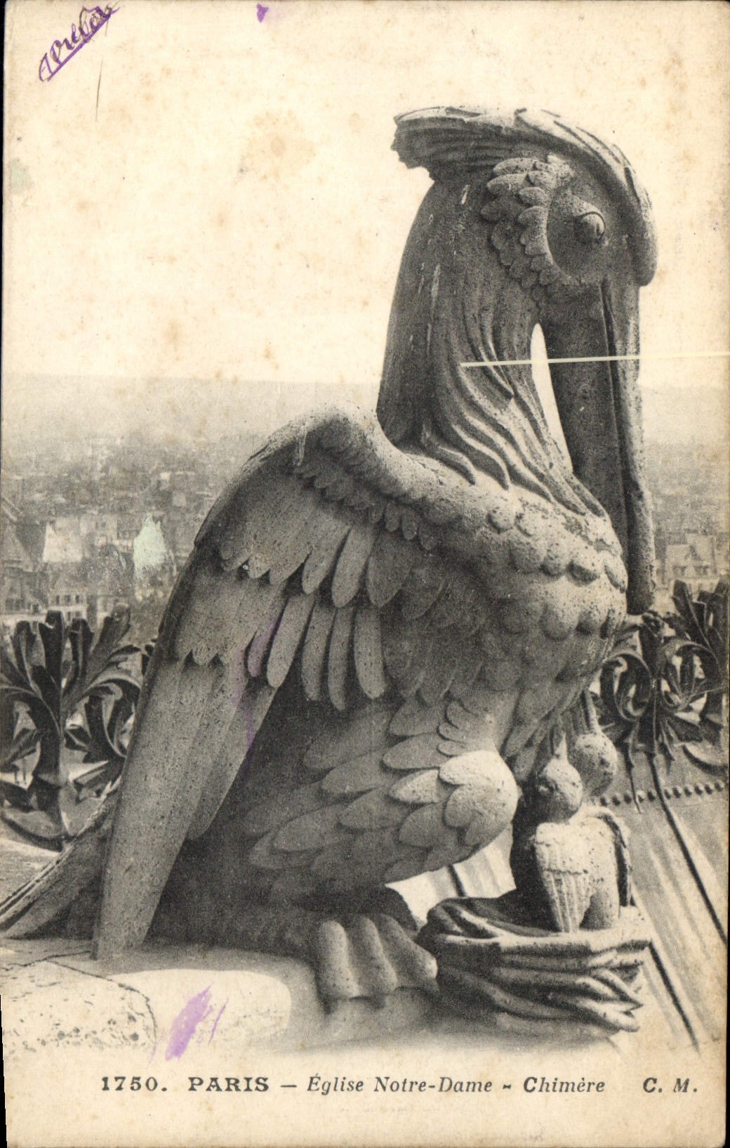 CPA Paris Eglise Notre Dame Chimere