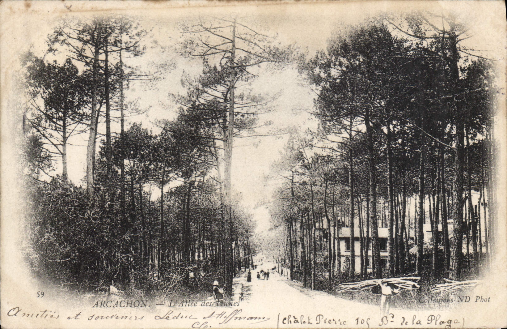 CPA Arcachon l'Allee 