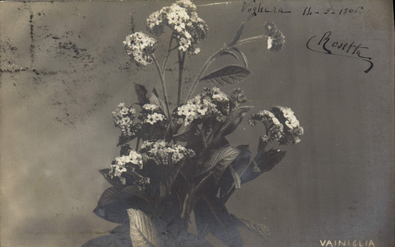 CPA Fantaisie Fleurs