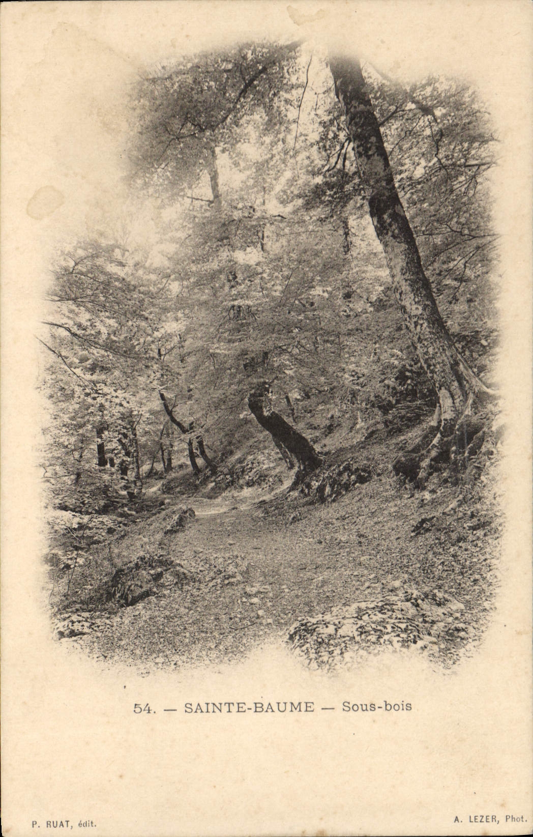 CPA Sainte Baume Sous bois