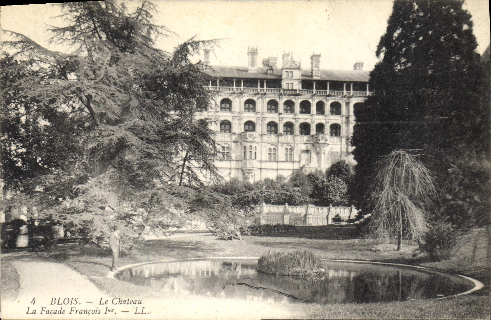 CPA Blois Le Chateau La Facade Francois I 