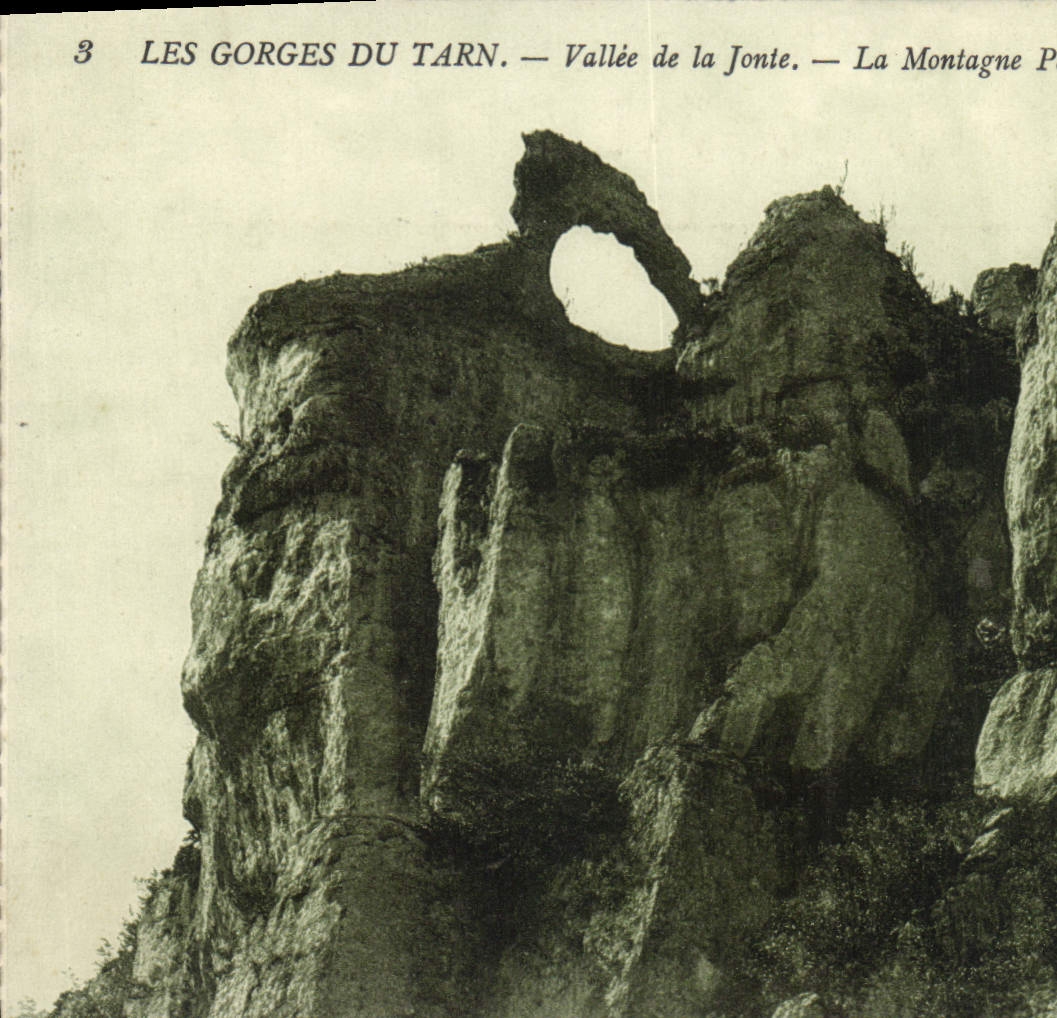 CPA Les Gorges du Tarn Vallee de la Jonie la Montagne
