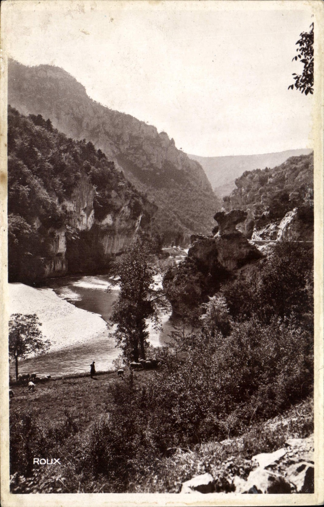 CPA Mende Gorges du Tarn environs de la Malene 